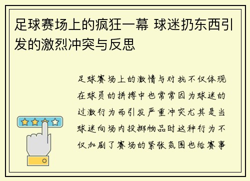 足球赛场上的疯狂一幕 球迷扔东西引发的激烈冲突与反思