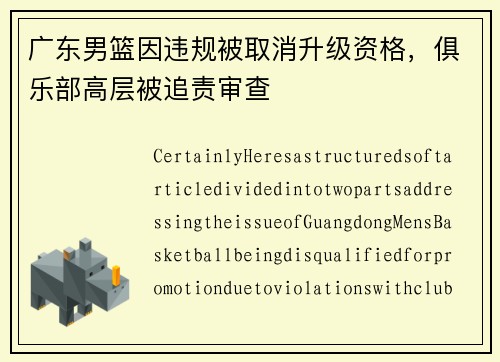 广东男篮因违规被取消升级资格，俱乐部高层被追责审查