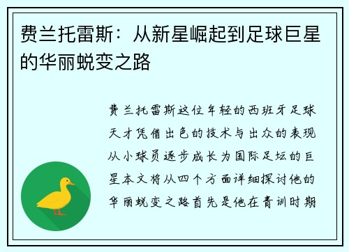 费兰托雷斯：从新星崛起到足球巨星的华丽蜕变之路