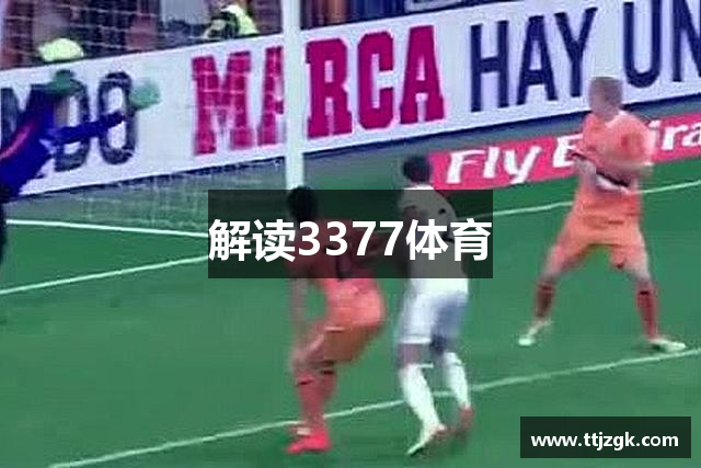 解读3377体育
